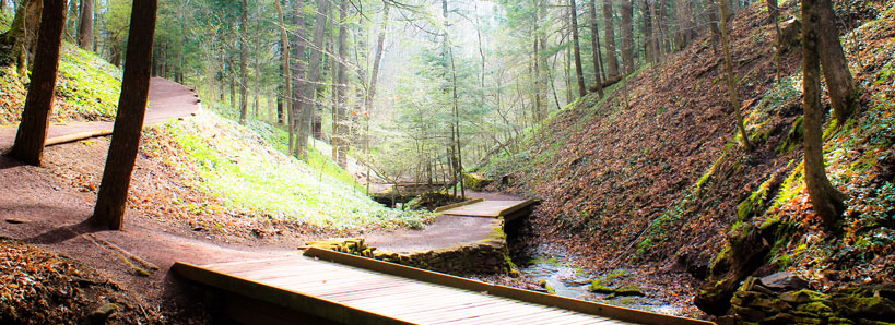 Wooded pathway near Waterville Residential Care Center